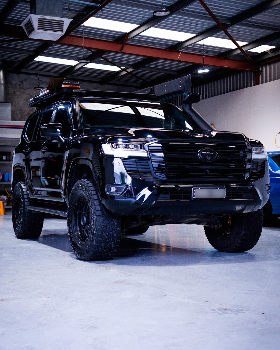 Paint Protection Services